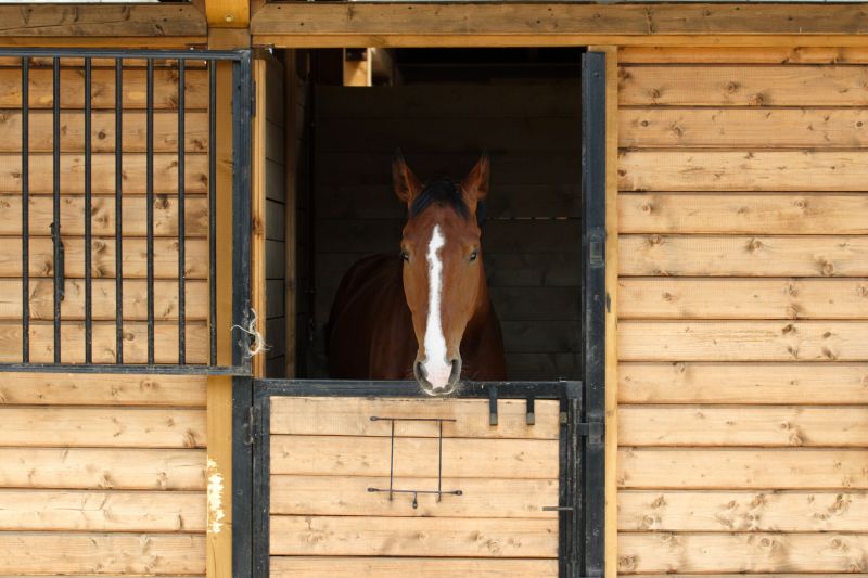 Horse Stall Repair in Overland Park, KS