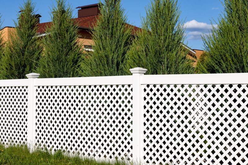 Fence Trellis Installation in Conroe, TX