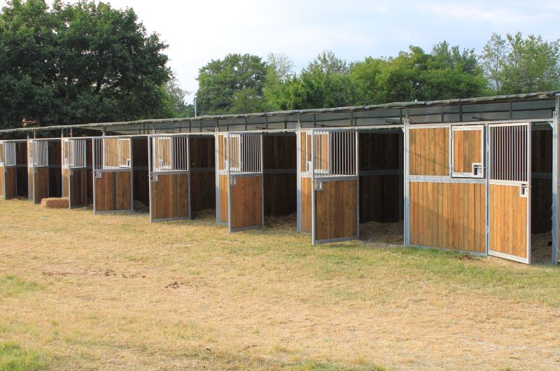 Horse Barn Construction in Conroe, TX