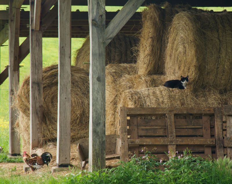 Pole Barn Construction in Wilmington, NC