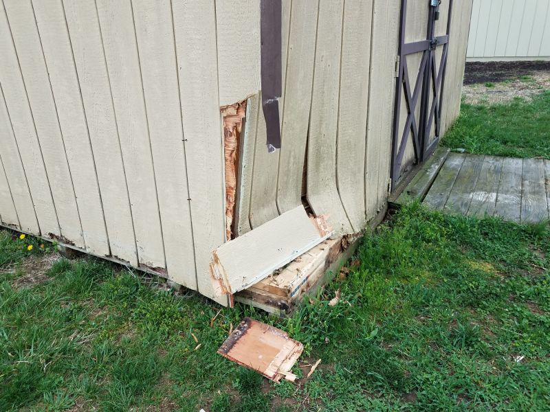 Shed Roof Repair in Kansas City, KS