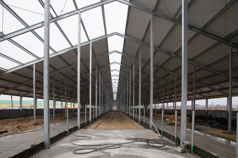 Tool Shed Construction in Conroe, TX